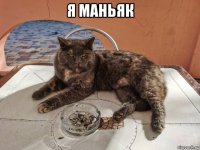 я маньяк 