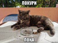 покури пока