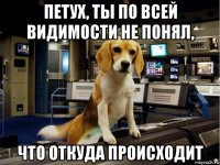 петух, ты по всей видимости не понял, что откуда происходит