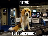 петух ты обосрался