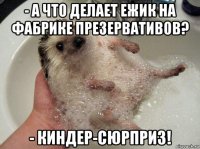- а что делает ежик на фабрике презервативов? - киндер-сюрприз!