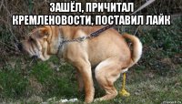 зашёл, причитал кремленовости, поставил лайк 