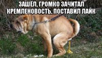 зашёл, громко зачитал кремленовость, поставил лайк 