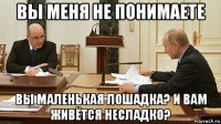 вы меня не понимаете вы маленькая лошадка? и вам живётся несладко?