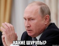  какие шурупы?