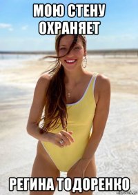 мою стену охраняет регина тодоренко