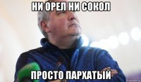 ни орел ни сокол просто пархатый
