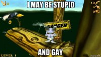 i may be stupid and gay