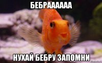 бебраааааа нухай бебру запомни