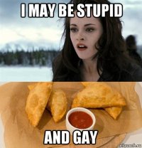 i may be stupid and gay