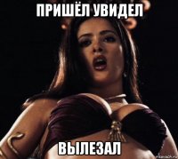 пришёл увидел вылезал