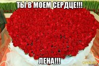 ты в моем сердце!!! лена!!!
