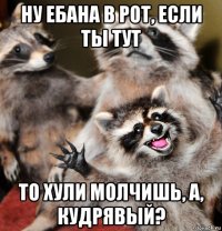 ну ебана в рот, если ты тут то хули молчишь, а, кудрявый?