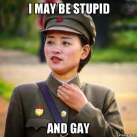 i may be stupid and gay