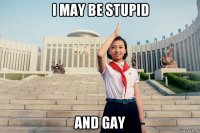 i may be stupid and gay