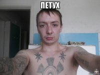 петух 