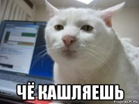  чё кашляешь