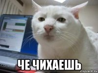 че чихаешь