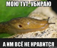 мою тут, убираю а им всё не нравится