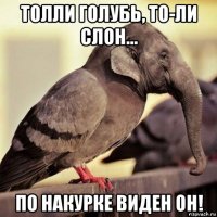 толли голубь, то-ли слон... по накурке виден он!