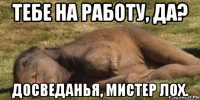 тебе на работу, да? досведанья, мистер лох.