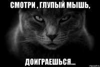 смотри , глупый мышь, доиграешься...