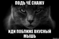 подь чё скажу иди поближе вкусный мышь