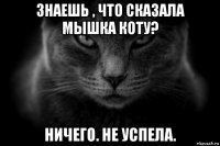 знаешь , что сказала мышка коту? ничего. не успела.