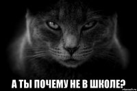  а ты почему не в школе?