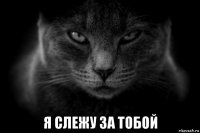  я слежу за тобой