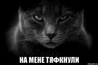  на мене тяфкнули