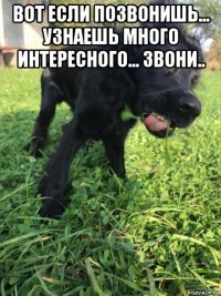 вот если позвонишь... узнаешь много интересного... звони.. 