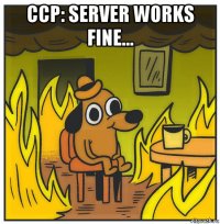 ccp: server works fine... 