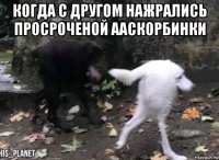 когда с другом нажрались просроченой ааскорбинки 
