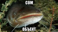 сом объект