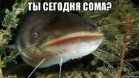 ты сегодня сома? 