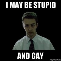 i may be stupid and gay