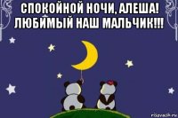 спокойной ночи, алеша! любимый наш мальчик!!! 