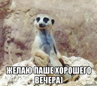  желаю паше хорошего вечера)