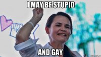 i may be stupid and gay