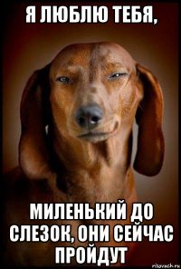 я люблю тебя, миленький до слезок, они сейчас пройдут