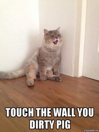  touch the wall you dirty pig