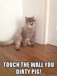  touch the wall you dirty pig!
