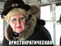  аристократическая