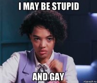 i may be stupid and gay