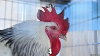 ..-.. 4