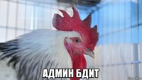  админ бдит