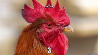 ..-.. 3