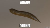 анало говнет