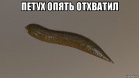 петух опять отхватил 